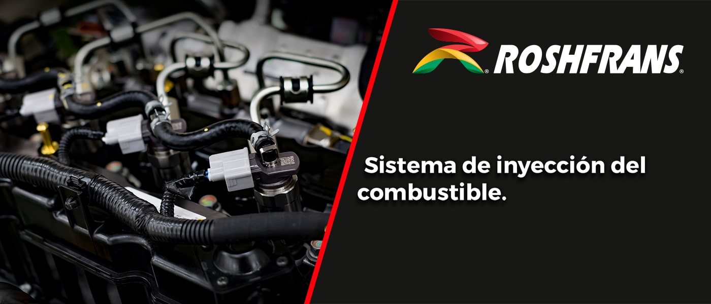 SISTEMA DE INYECCIÓN DEL COMBUSTIBLE